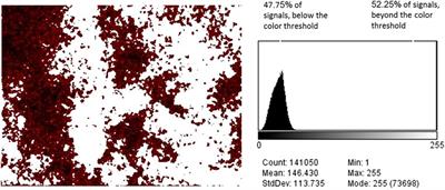 Image Analysis for Spectroscopic Elemental Dot Maps: P, Al, and Ca Associations in Water Treatment Residuals as a Case Study